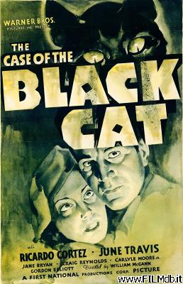 Affiche de film Il mistero del gatto grigio
