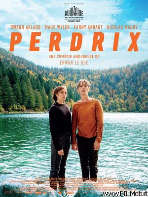 Locandina del film Perdrix