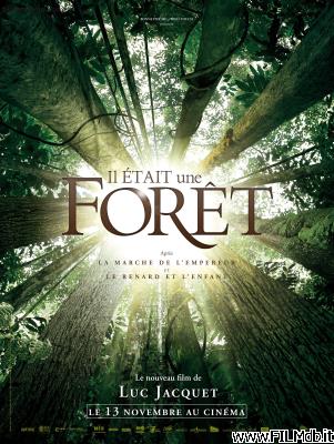 Affiche de film Il était une forêt