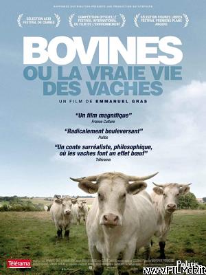 Poster of movie Bovines