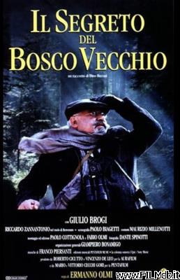 Affiche de film Il segreto del Bosco Vecchio