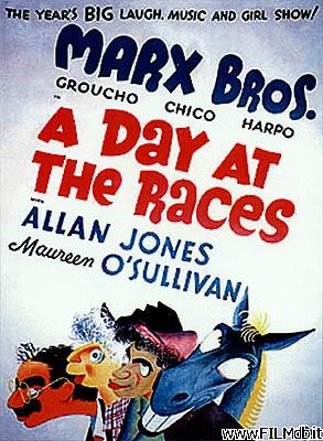 Poster of movie a day at the races