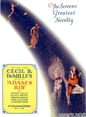 Affiche de film adam's rib