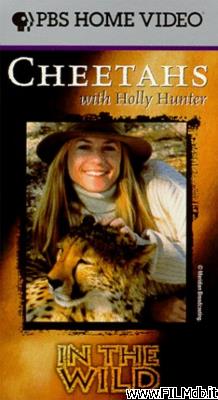 Cartel de la pelicula Cheetahs with Holly Hunter [filmTV]