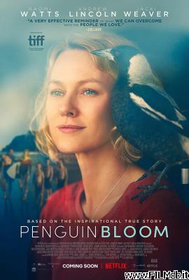 Affiche de film Penguin Bloom