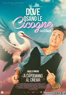 Affiche de film Dove osano le cicogne