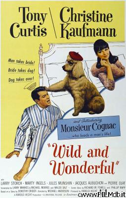 Poster of movie Wild and Wonderful