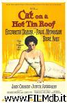 poster del film cat on a hot tin roof