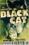 poster del film The Case of the Black Cat