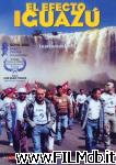 poster del film El efecto Iguazú