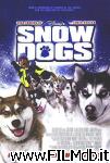 poster del film Snow Dogs - 8 cani sotto zero