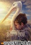 poster del film Storm Boy