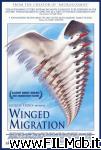 poster del film Winged Migration