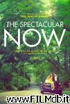 poster del film The Spectacular Now