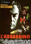 poster del film The Assassin