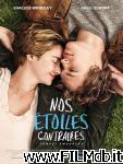 poster del film the fault in our stars