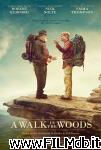 poster del film a walk in the woods