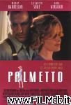 poster del film Palmetto - Un torbido inganno