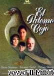 poster del film The Lame Pigeon