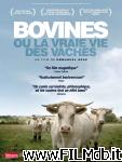 poster del film Bovines ou la vraie vie des vaches