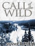 poster del film the call of the wild