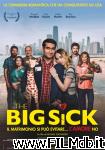 poster del film the big sick