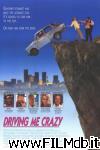 poster del film Driving Me Crazy
