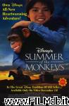 poster del film El verano de los monos [filmTV]