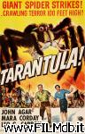 poster del film tarantula 