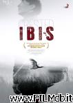 poster del film Crested Ibis