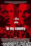 poster del film country of my skull