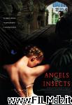 poster del film Angels and Insects