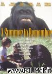 poster del film Mi amigo el orangután [filmTV]