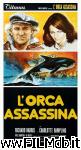 poster del film orca: the killer whale