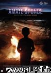 poster del film Amate Sponde