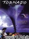 poster del film nature unleashed: tornado