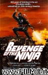 poster del film revenge of the ninja