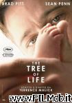 poster del film the tree of life