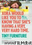 poster del film tiny furniture