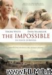 poster del film Lo imposible