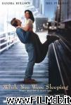 poster del film while you were sleeping