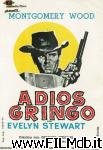 poster del film adiós gringo