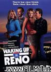 poster del film waking up in reno