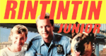 logo serie-tv Rin Tin Tin K-9 Cop