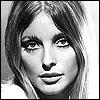 Sharon Tate