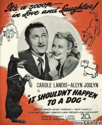 Poster of movie It Shouldn't Happen to a Dog