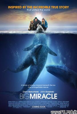 Poster of movie Big Miracle