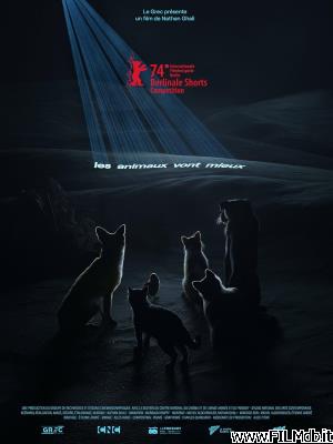 Cartel de la pelicula Les Animaux vont mieux [corto]