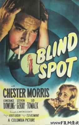 Poster of movie Blind Spot