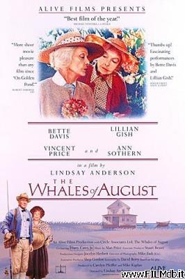 Locandina del film Le balene d'agosto